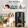 2L Automatic Pet Feeder For Cats  Smart Slow Dog Feeder With Large Capacity Timing Cat Food Auto Dispenser Dry Food Bowl