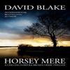 Horsey Mere by David Blake Paperback Book 9781916347946