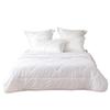 Luolai Antibacterial Winter Fiber Duvet