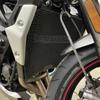 StreetTriple 765R 765S 765RS 2022~2025 2024 2026 For Street Triple 765 R/S/RS Motorcycle Radiator Grille Guard Cover Protector