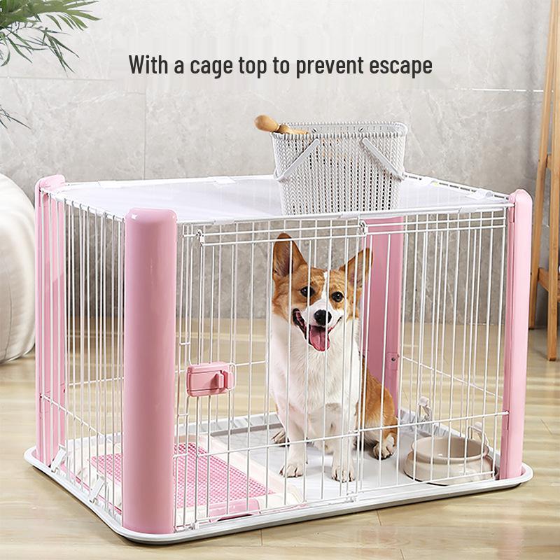 Iris Colorful Indoor Dog Cage for Small and Medium Dogs