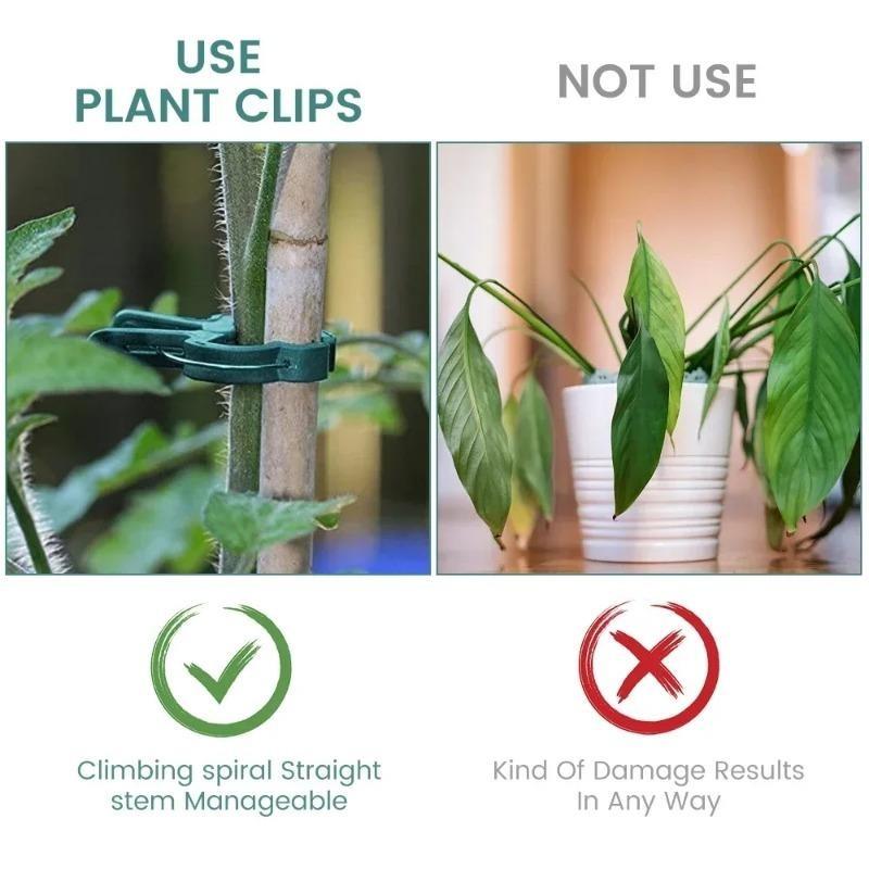 30PCS Plant Clips Reusable Greenhouse Bracket For Fixed Plants Vine Flower Seedling Tomatoes Support Garden Supplies