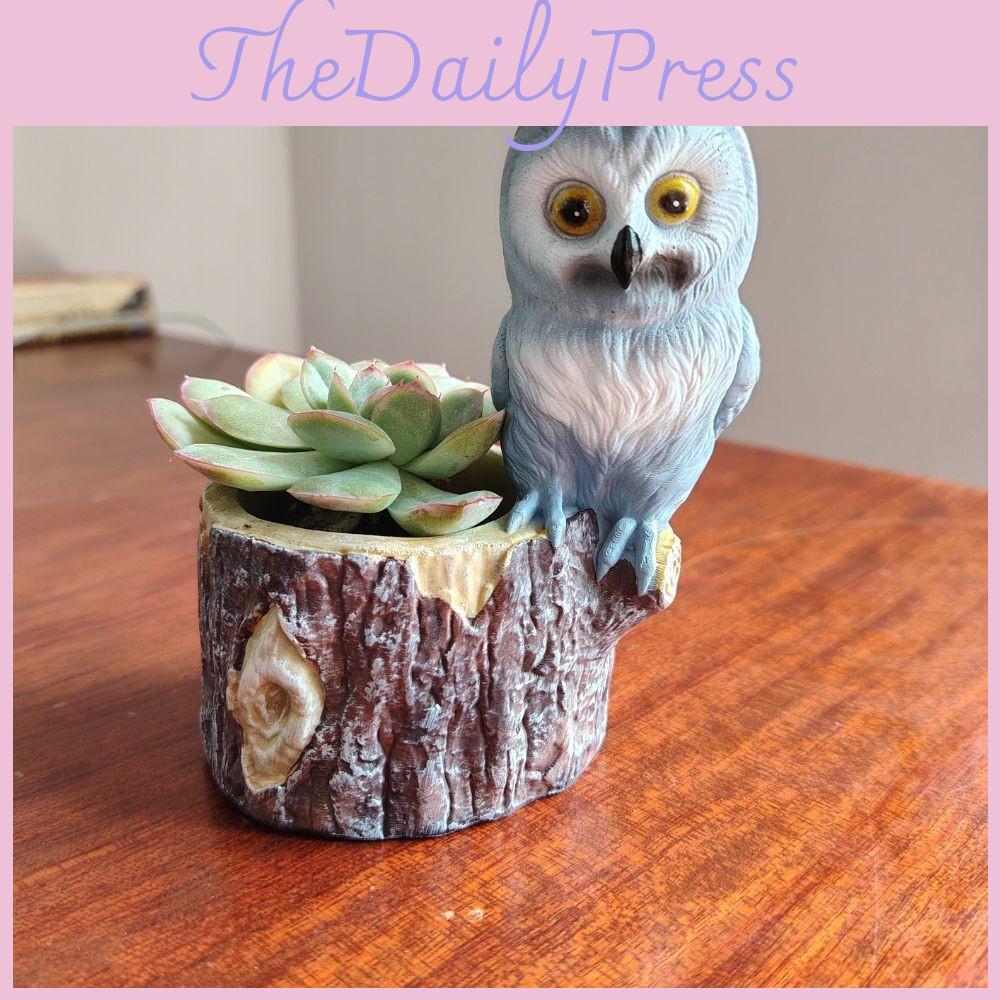 Stylish Owl Planter Elegant Resin Flower Pot For Contemporary Home Dcor