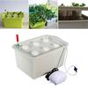 Indoor 6 Holes Hydroponic System Soilless Cultivation Plant Nursery Box Grow Kit
