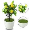 Nvironmentally Friendly Artificial LemonTree False Plant Artificial Lemon Tree