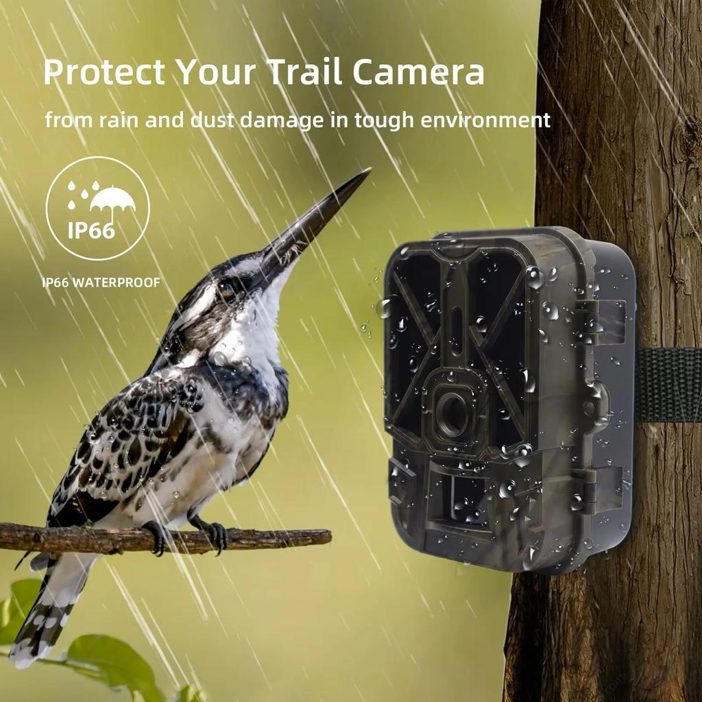 50MP 4K Wildlife Trail Camera HC940AA no lithium baterry IP65 Night Vision Wireless Surveillance Hunting Photo Trapry
