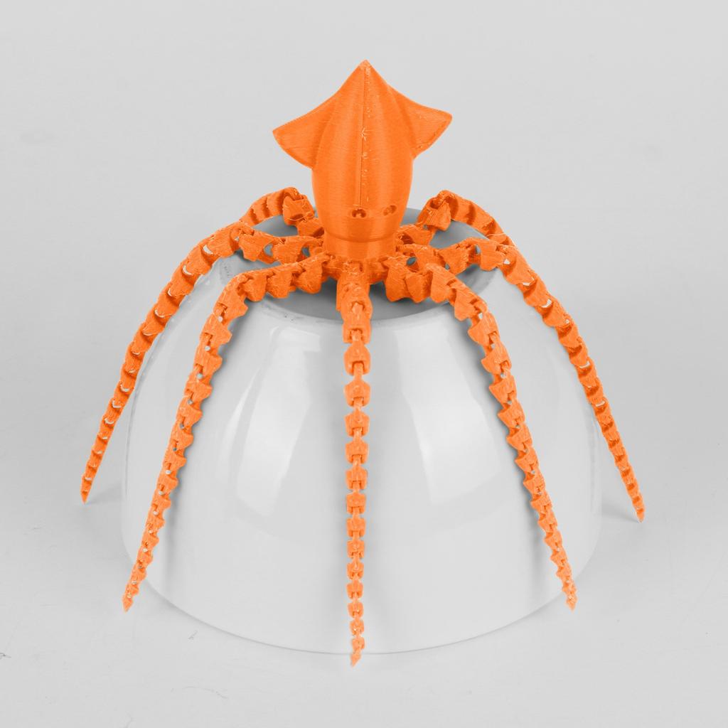 3D Printing Cuttlefish 3D Printing Articulated Cuttlefish Toy Adult Children's Toy Mysterious Cuttlefish Toy