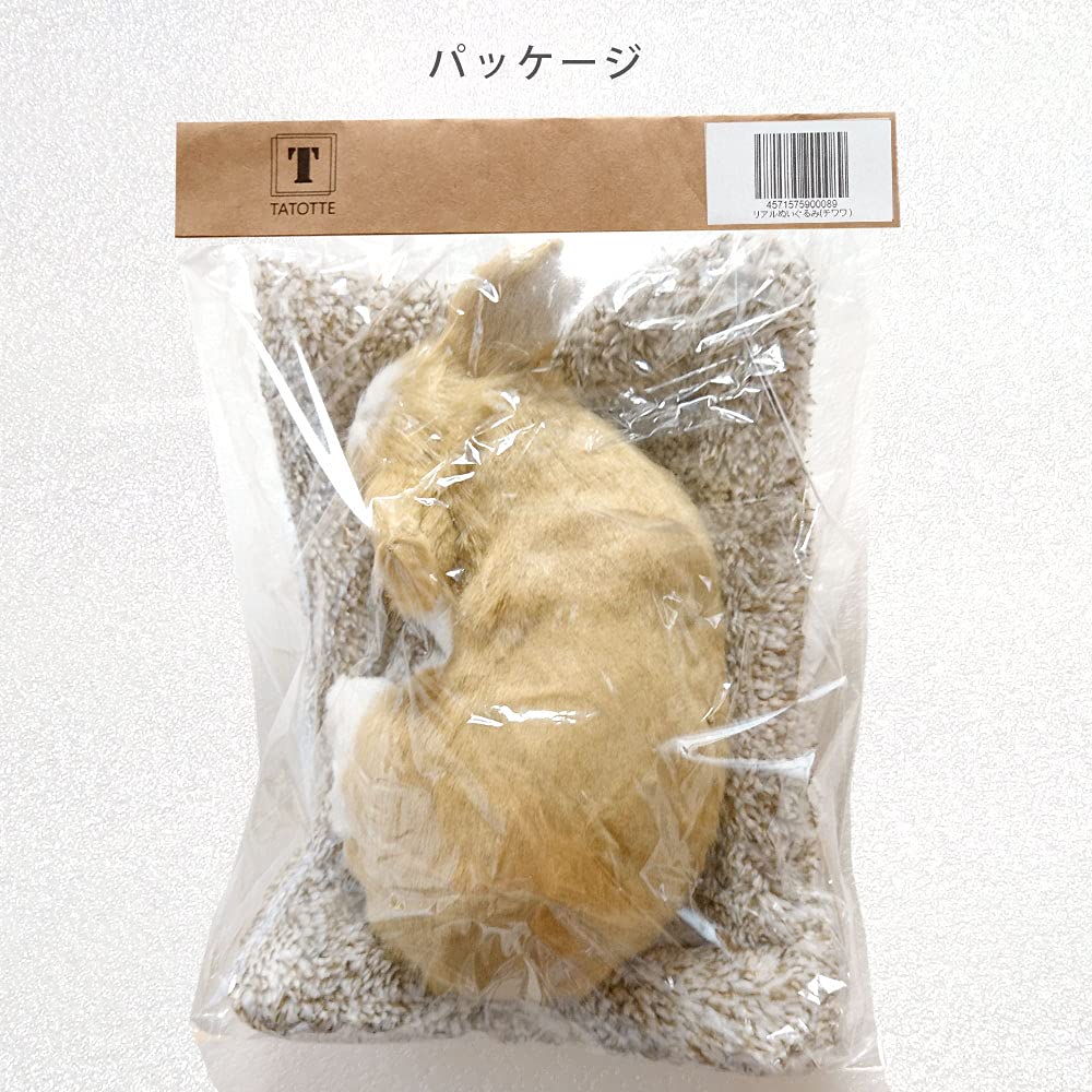 TATOTTE Реалистичная плюшевая фигурка собаки с милым спящим лицом, в комплекте активированный уголь, успокаивающий декор (Чихуахуа CR)