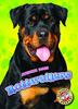 Книга Rottweilers