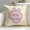 popular virtual character Asamimichan Cushion Cover Soft  EasyWash Pillow Case  Versatile for Couch Bed Travel and Office