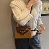 Retro Frosted Women's Handbag 2025: New Fashion Light Luxury Single Shoulder & Crossbody Kelly Bag