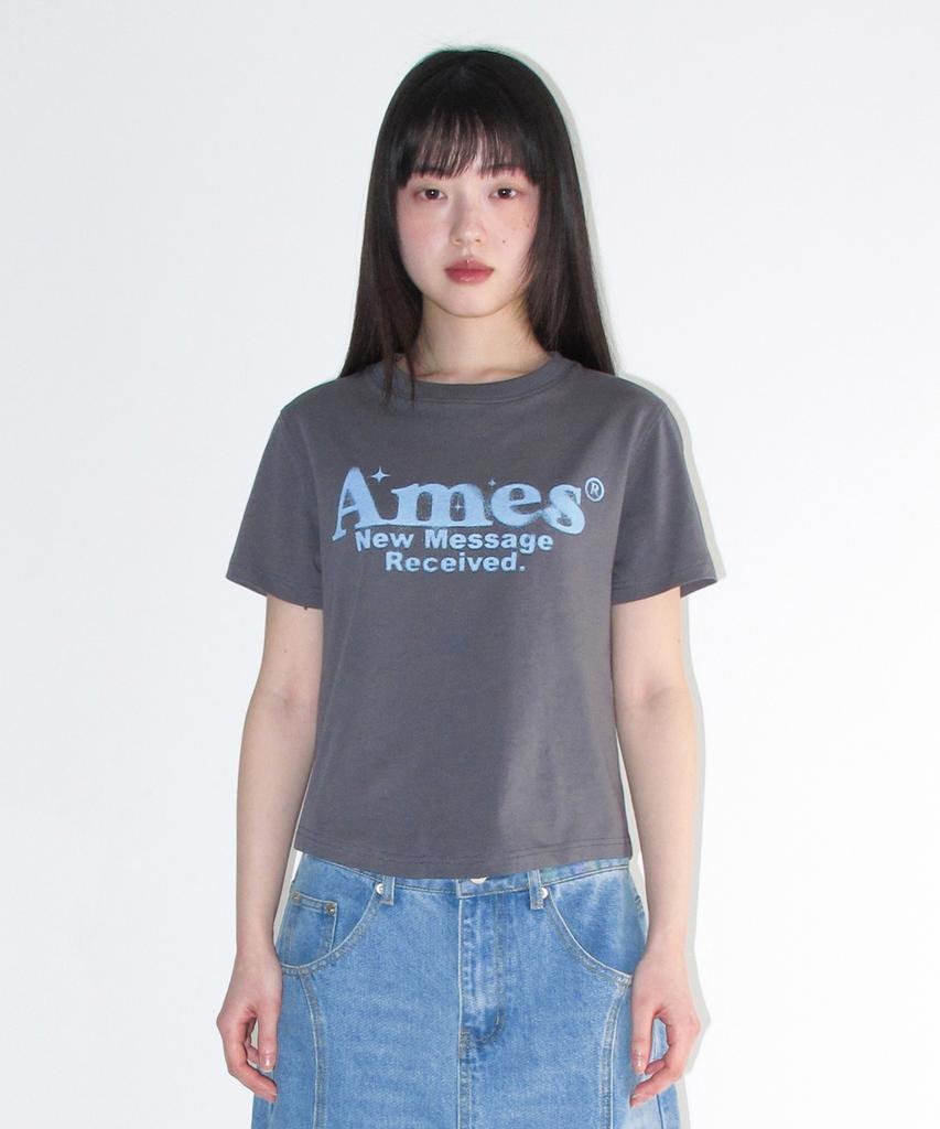 AMES-WORLDWIDE Укороченная футболка с круглым подолом Светло-серый