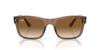 Солнцезащитные очки RB4428F ПРОЗРАЧНО-СВЕТЛО-КОРИЧНЕВЫЕ 56 [Ray-Ban]