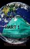 The Me And The Pandemic Book