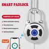 Rechargeable Battery Bluetooth Padlock Password Protection USB Rechargeable Lock  Storage Security