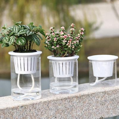Прозрачный самополивающийся цветочный горшок для растений PP Resin Planter Home Garden Decor