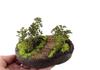 Segawa Modeling DIORAMA ONE Набор для создания пешеходной тропы с деревьями Зеленый DO-1007