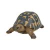 Ubia 17 X X Garden H14115 Hermann's Tortoise, 11.7 7.7 Cm, Figurine, Ornament, Animal, Decor, Turtle,