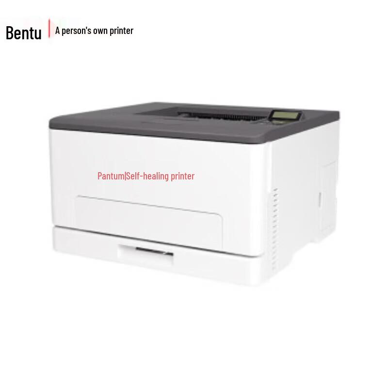 Pantum CP1155DN Color Laser Printer CN plug (adapter included)