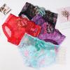 Plus Size Nude Lace Low Waist Embroidered Panties for Women