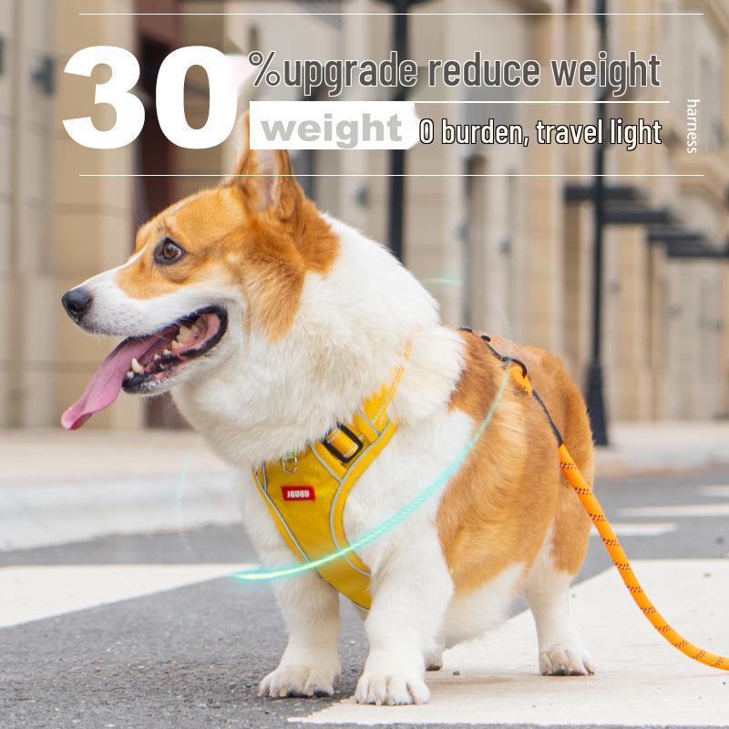 Набор шлейки и поводка для собаки породы корги - Жилет для собаки малого и среднего размера