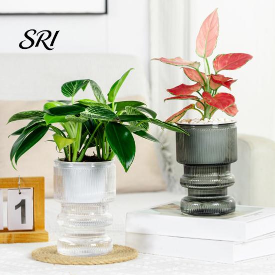 Water Absorbing Cotton Rope Planter Self Watering Flowerpot with Transparent Bottle and Level Indicator for Lazy Gardener Pot Indoor Plants