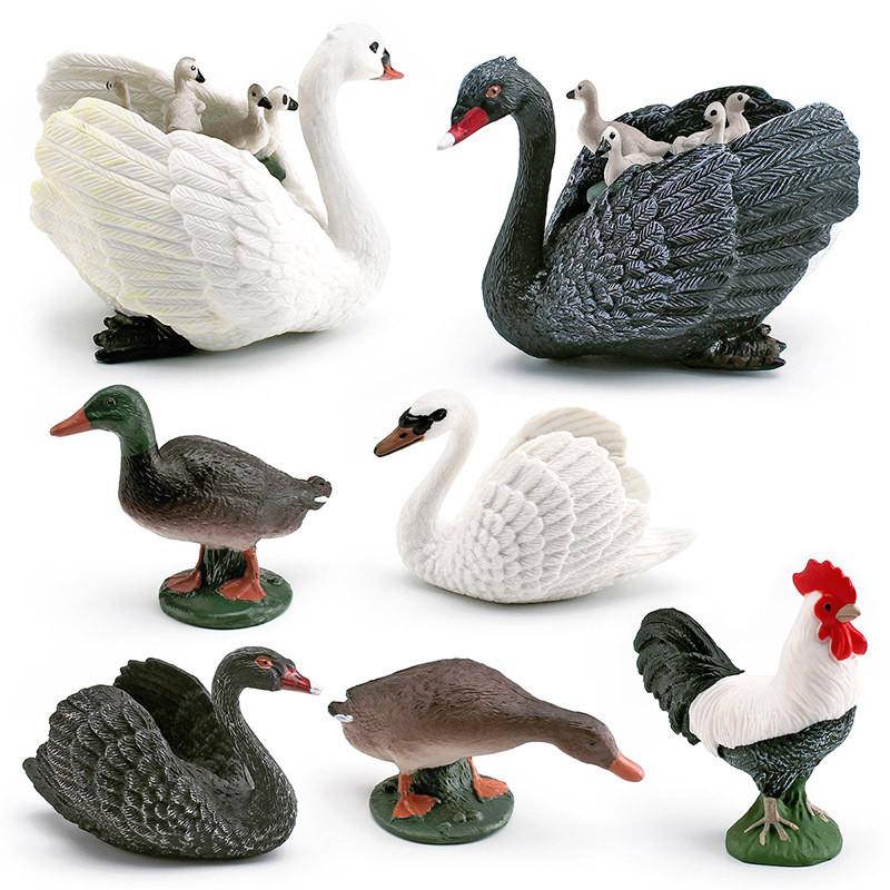 Realistic Figures Animal Model With Ducks Rooster Swans For Decorative Display