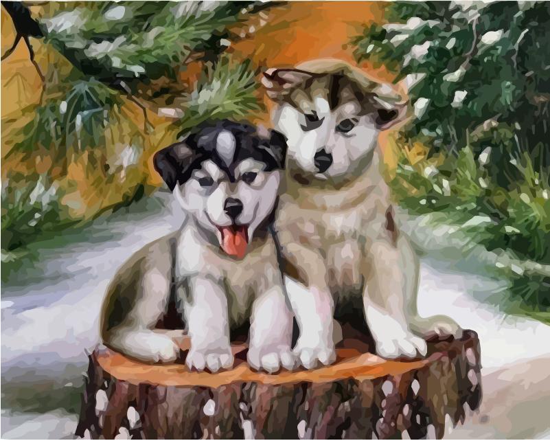 40x50 см живопись по номерам собака рисунок на холсте ручная роспись живопись искусство подарок DIY фотографии по номерам наборы животных домашний декор