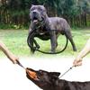 Durable And Comfortable Pet Training Choke Rope For Large Dogs Black Nylon Design