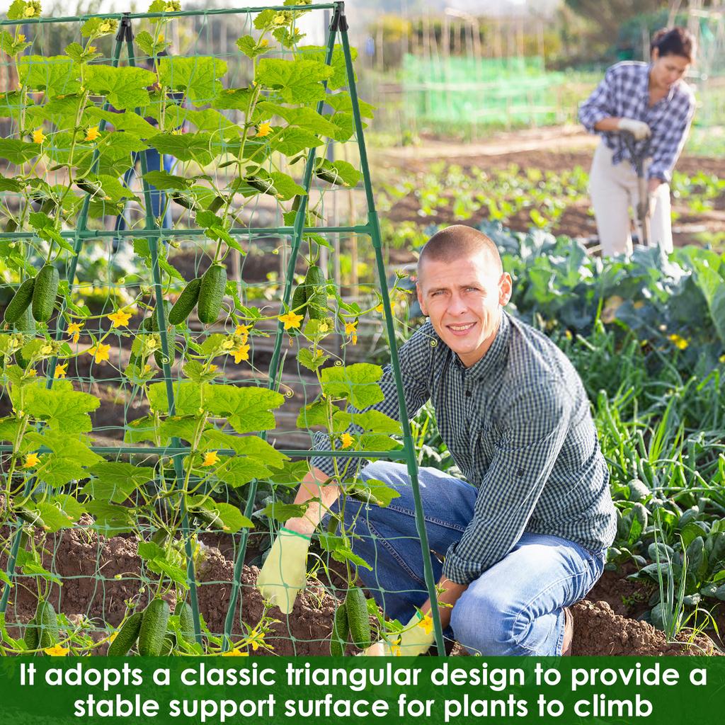 Plant Trellis A Frame Cucumber Trellis Plant Stakes Climbing Frame Garden Plant Climbing Frame Plants Tomato Vegetable Climbing