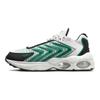 Air Max TW Summit Белые Малахитовые Мужские Кроссовки Черные DQ3984-106