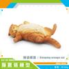 10 Simulated Cat Animal Models Lazy Orange Cat Siamese Cat Muppet Cat Black Cat Flower Cat Desktop Ornament Toys