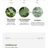 JMsolution - Тонер-пэды с экстрактом центеллы азиатской 88