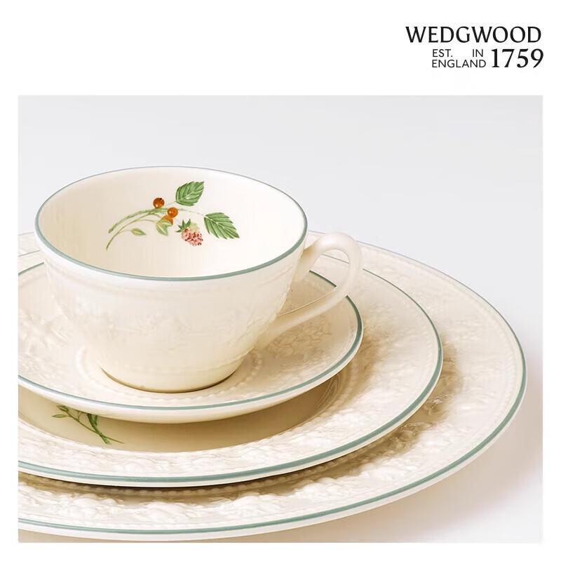 Wedgwood Joyful Holiday Raspberry 5-Piece Dinnerware Set
