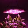 500W 2 Mode Switch Full Spectrum LED Grow Light Phytolamp 240 Led Chips Plant Greenhouse Light For Indoor Plant