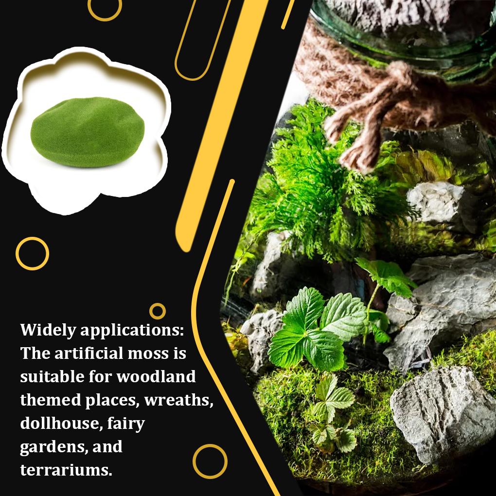 Террариумный орнамент Тропический лес Диорама Принадлежности Зачарованный лес Украшения для вечеринок Бонсай Ассорти из зеленых растений Пейзаж