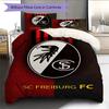 Freiburg e RugPattern Bedding Quilt Set Quilt Cover Pillowcase Home Decoration Birthday Gift (1 * duvet cover + 2 * pillowcase, without core)