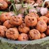 20Pcs Resin Halloween Pumpkin Decoration Reusable Scary Mini Fake Simulation Pumpkin Creative Funny Halloween Ornaments Festival