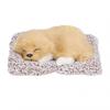 Realistic Sleeping Dog Realistic Sleeping Puppy Children Toys Decorations Gifts for Boys GirlsLabrador