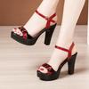 Fashion 2024 New Summer Platform Sandals Women Shoes Thick Heels Sandals Ladies High Heels Fashion Women Sandals Plus Size 32-43
