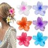 6PCS 8CM Independent Packaging Plumeria Clip Hair Accessories Colorful Flowers Hair Claws Hair Ponytail Top Clip