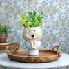 Cartoon Succulent Flowerpot Resin Plant Cultivation Pot Multifunctional Flower Planter  Office