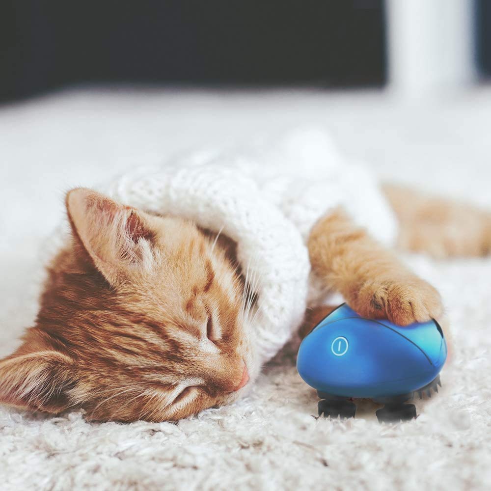 Breo Electric Scalp Scalp 3D IPX7 Wet and Head Can Be Used On the Whole Easy To Birthday Scalp Mini Blue Brush, Care, Move, Waterproof, Dry,