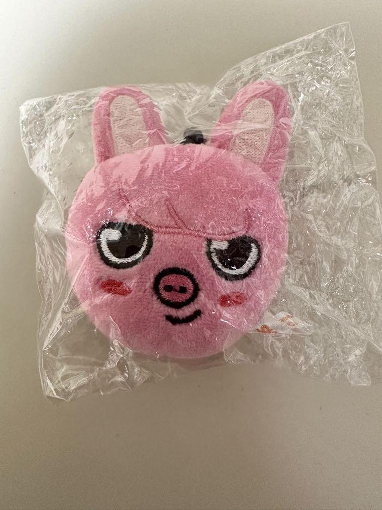 [USED] StrayKids Skzoo Changbin Touekki Face Keyring Official