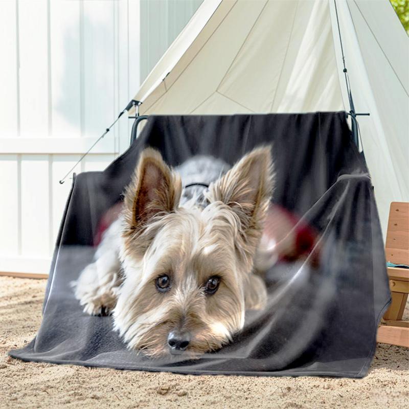 1pc dog pattern blanket, all season lightweight home office outdoor nap multifunctional blanket