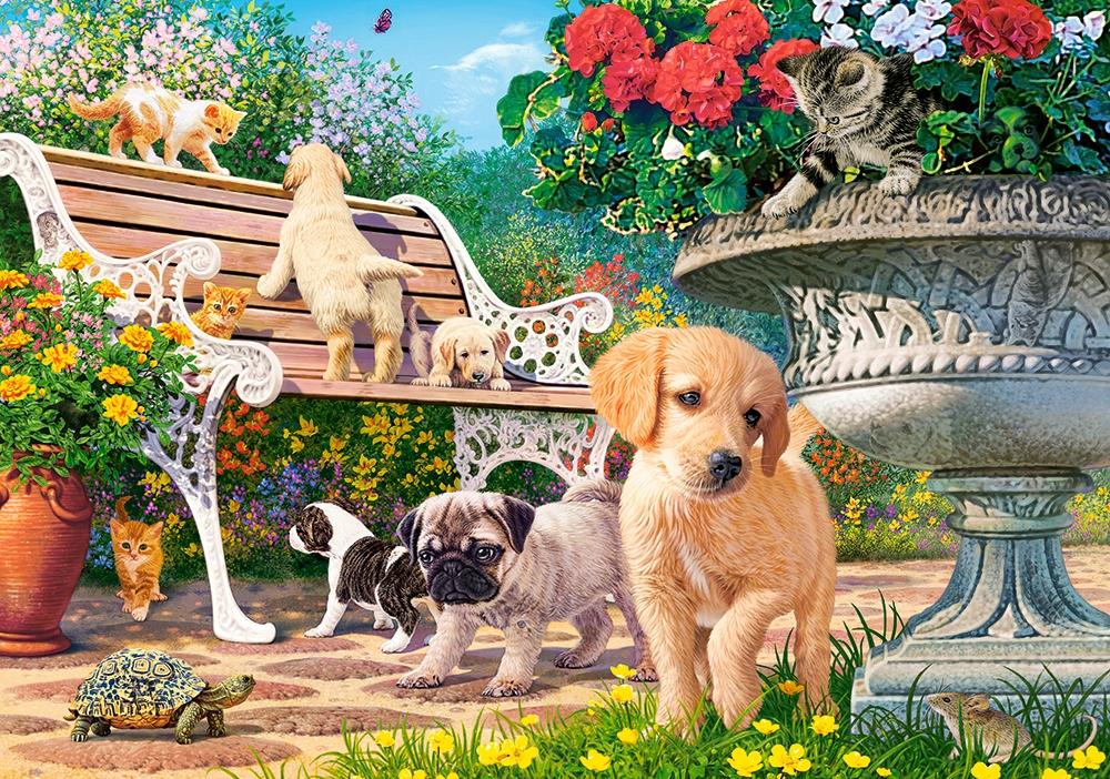 Puzzle 100 B-111220 Hide and Seek
