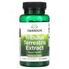 Tribulus Extract, 500 Mg, 60 Capsules