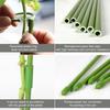 6 Pcs Plant Support Stakes Extendable Support Stakes Orchid Sticks