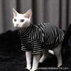 Cat Hair-Resistant Two-Leg Shirt Air Conditioner Clothes Sphynx Devon Rex Cats