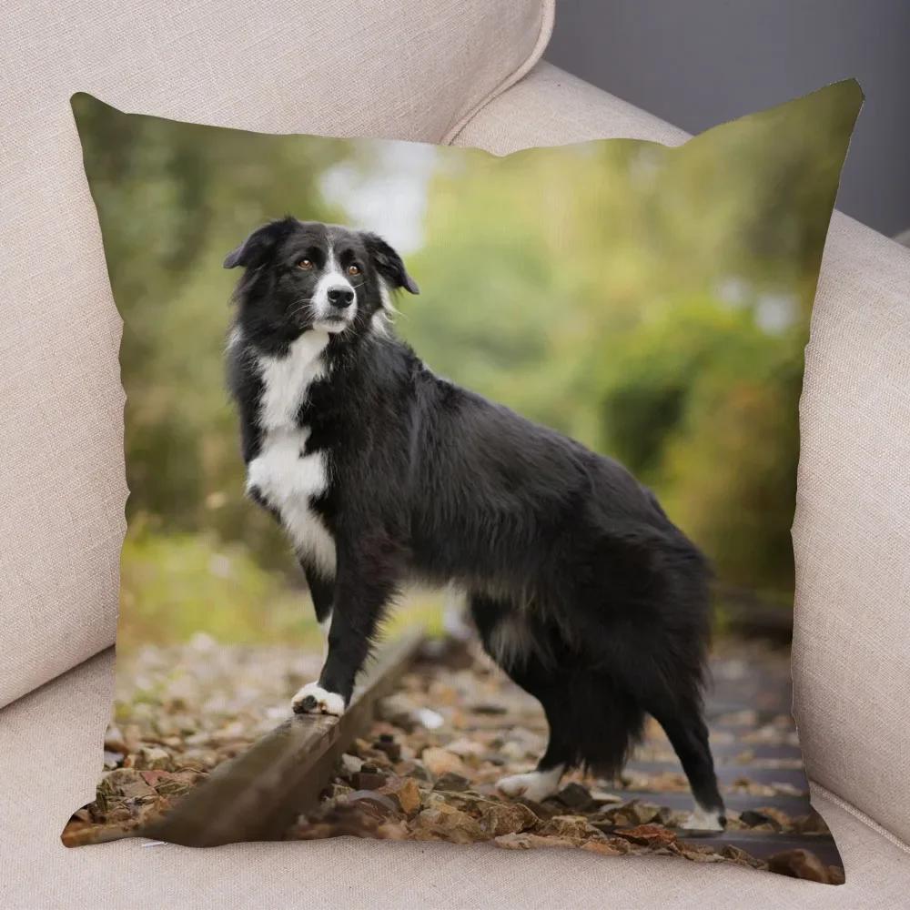 Милый Домашний Питомец Наволочка Шотландия Бордер Колли Наволочка для Дивана Автомобильного Декора Принт Собаки Мягкая Плюшевая Наволочка